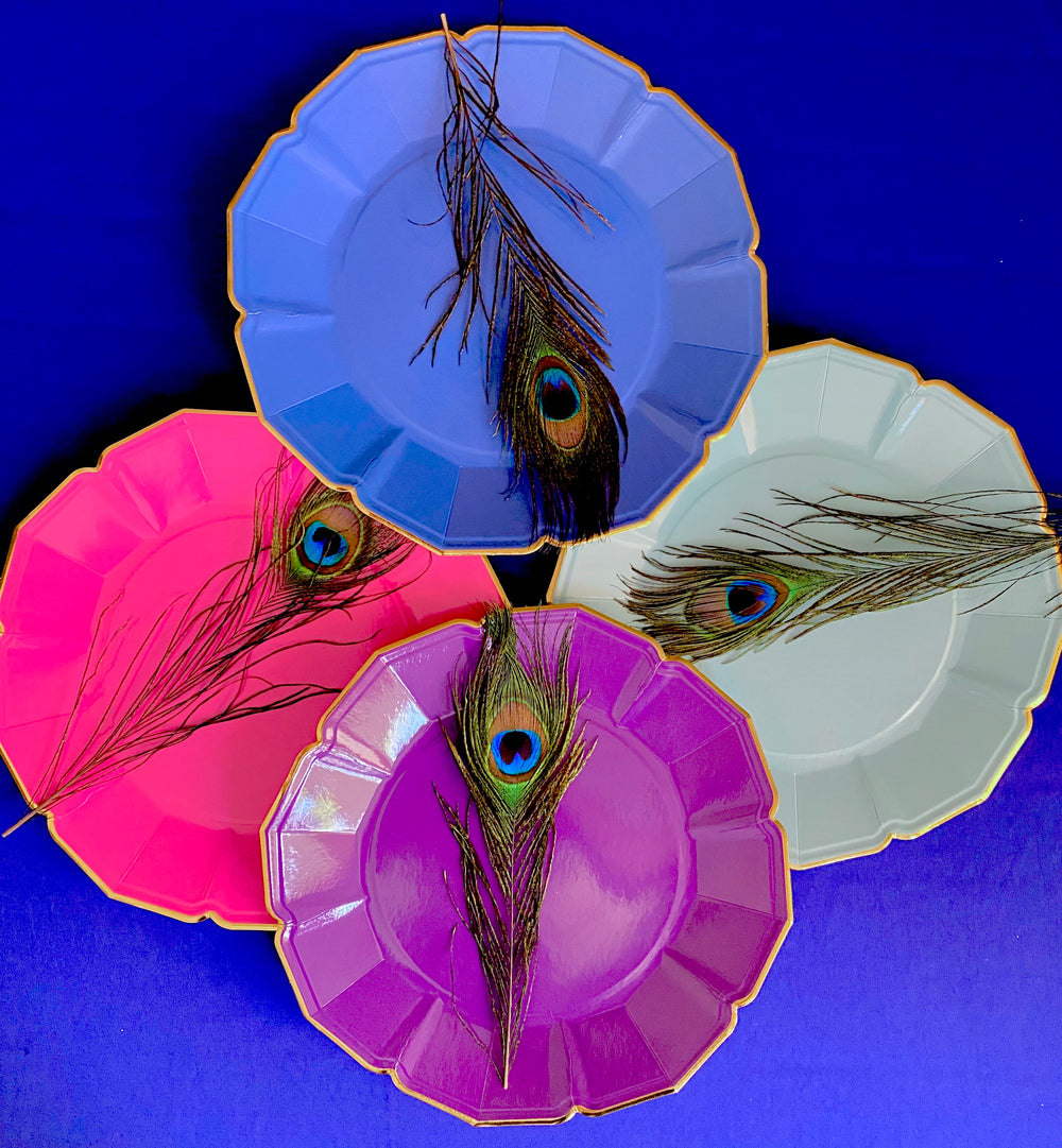 Fuchsia Dinner Plates